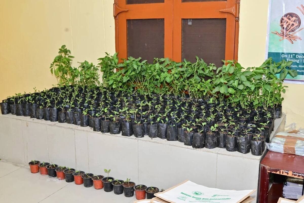 Ashwagandha Campaign